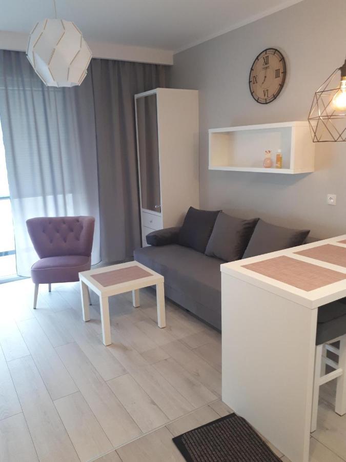Apartament Pudrowy ダルウフコ エクステリア 写真