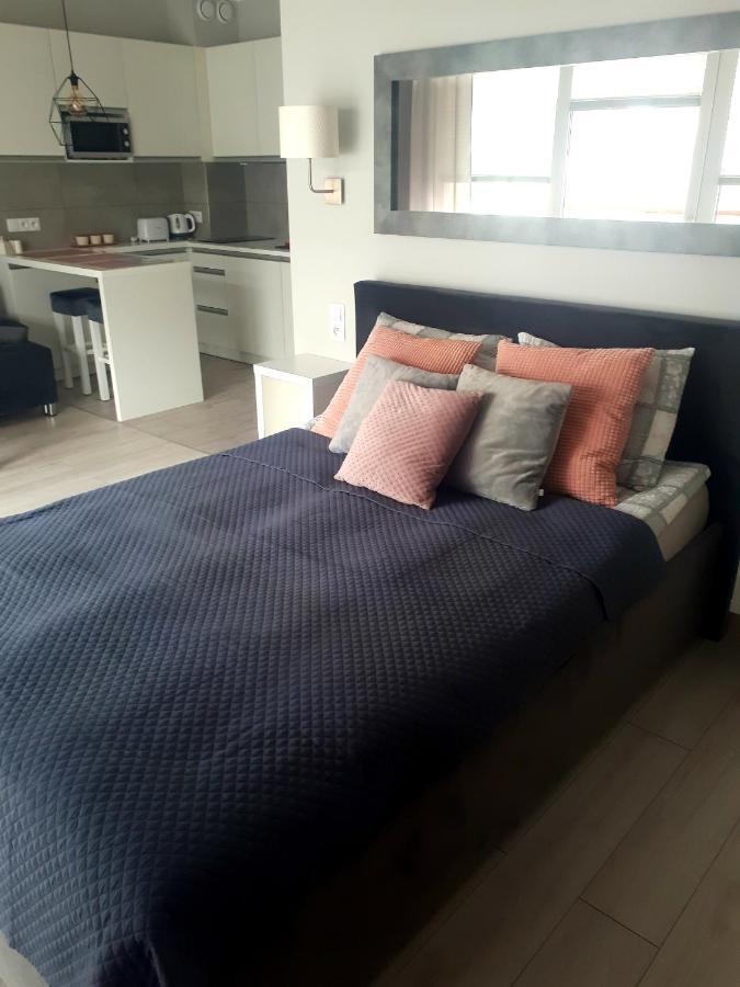 Apartament Pudrowy ダルウフコ エクステリア 写真